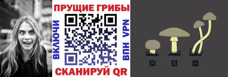 Псилоцибиновые грибы мицелий  Канаш 